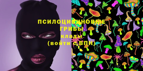 прущие крисы Арсеньев