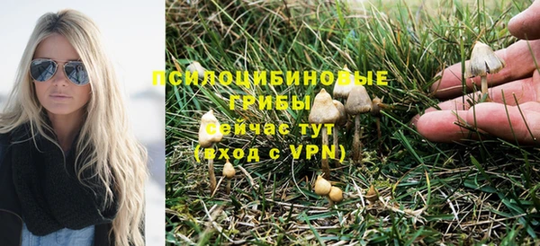 прущие крисы Арсеньев