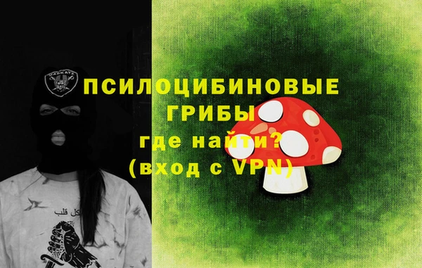крисы Армянск