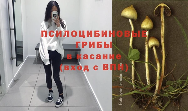 прущие крисы Арсеньев